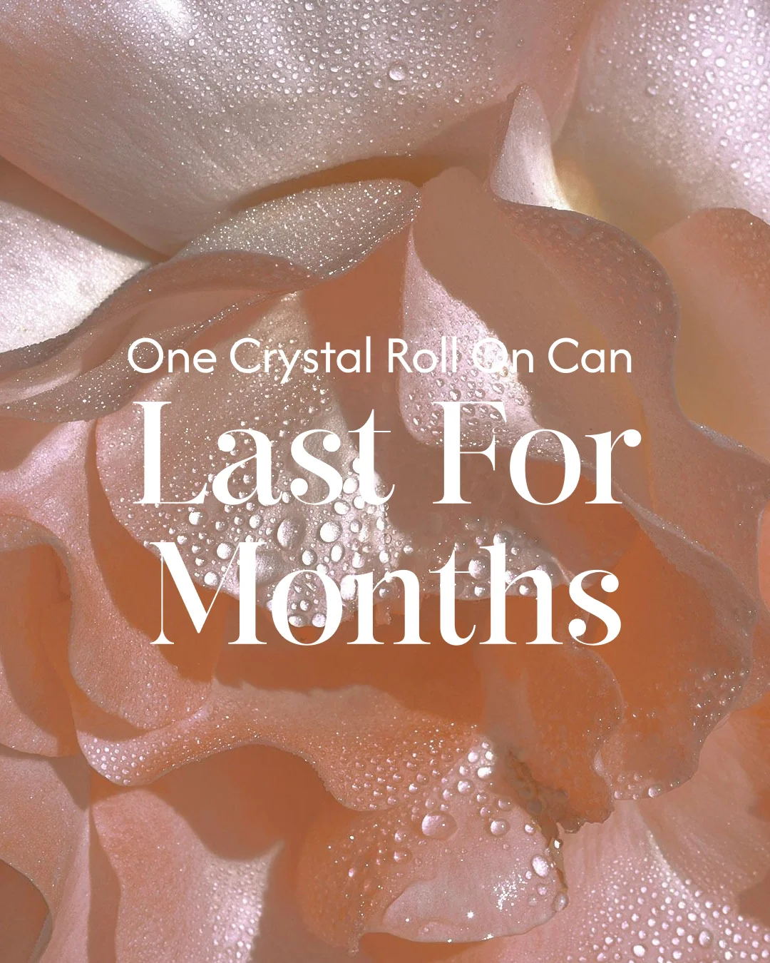 Alum Infused Crystal Roll-On Stick - Rose - Image 3
