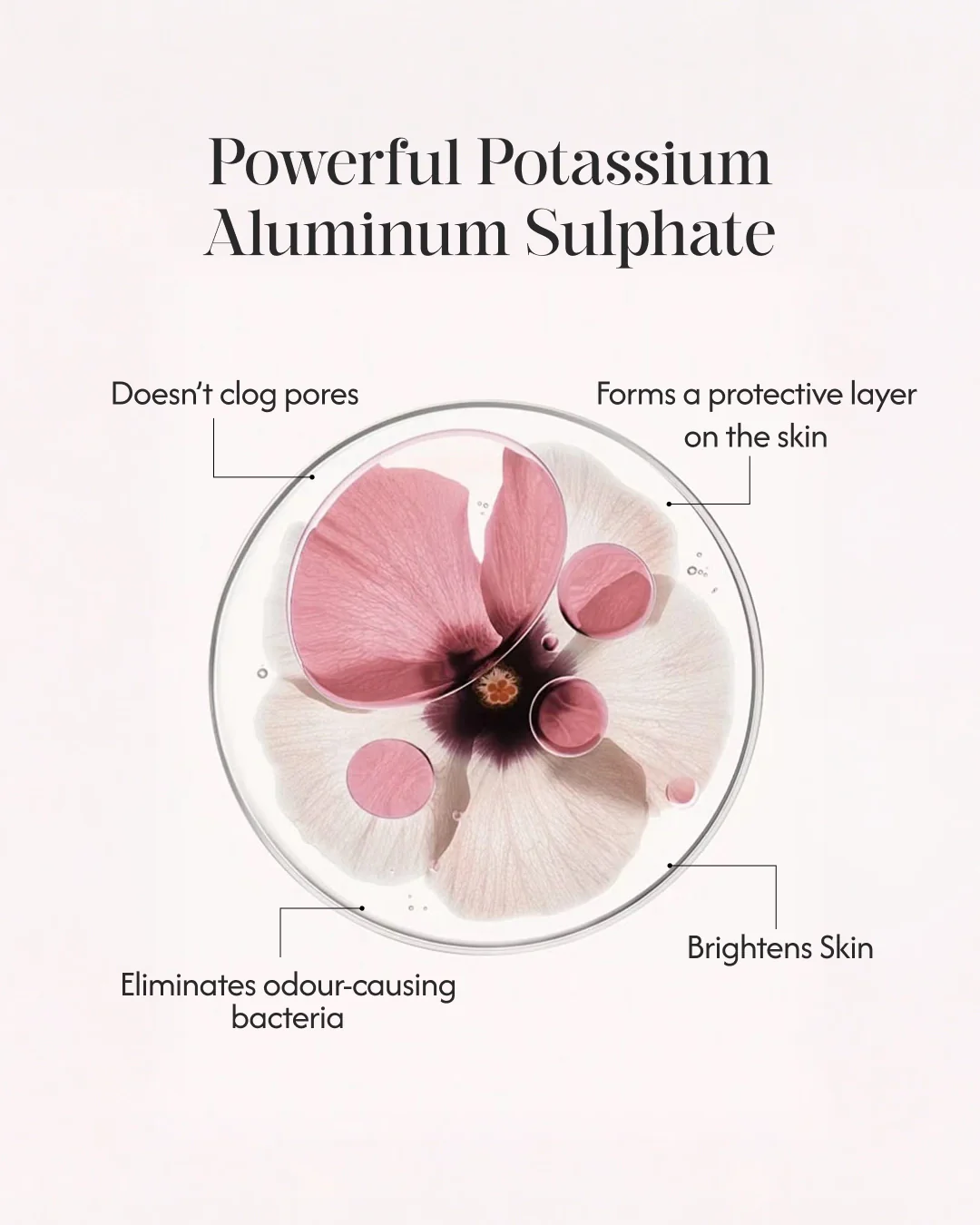 Alum Infused Crystal Roll-On Stick - Rose - Image 5